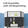 Cell Assembly with 3D Bioprinting