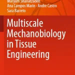 Multiscale Mechanobiology in Tissue Engineering