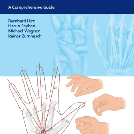 Hand and Wrist Anatomy and Biomechanics A Comprehensive Guide
