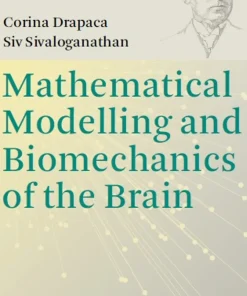 Mathematical Modelling and Biomechanics of the Brain