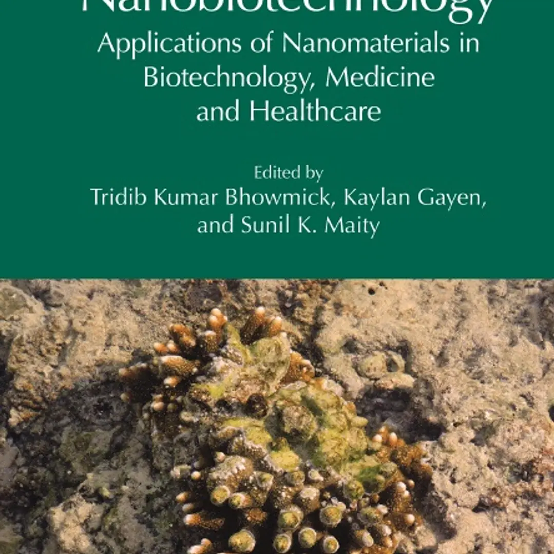 Nanobiotechnology Applications of Nanomaterials in Biotechnology Medicine and Healthcare