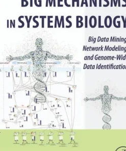 Big Mechanisms in Systems Biology