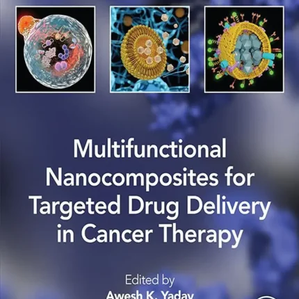 Multifunctional Nanocomposites for Targeted Drug Delivery in Cancer Therapy