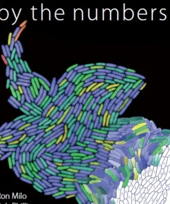 Cell Biology by the Numbers