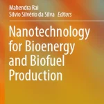 Nanotechnology for Bioenergy and Biofuel Production