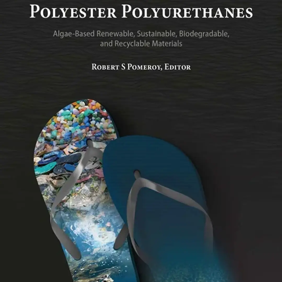 Rethinking Polyester Polyurethanes