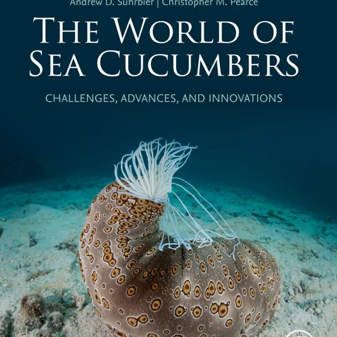 The World of Sea Cucumbers