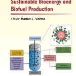 Nanobiotechnology for Sustainable Bioenergy and Biofuel Production