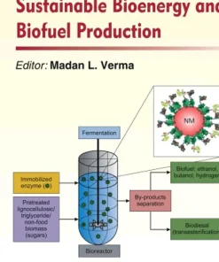 Nanobiotechnology for Sustainable Bioenergy and Biofuel Production