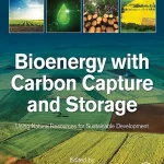 Bioenergy with Carbon Capture and Storage