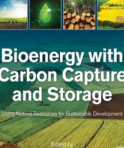 Bioenergy with Carbon Capture and Storage