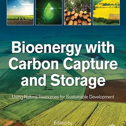 Bioenergy with Carbon Capture and Storage