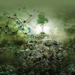 Biotechnology for Waste Biomass Utilization