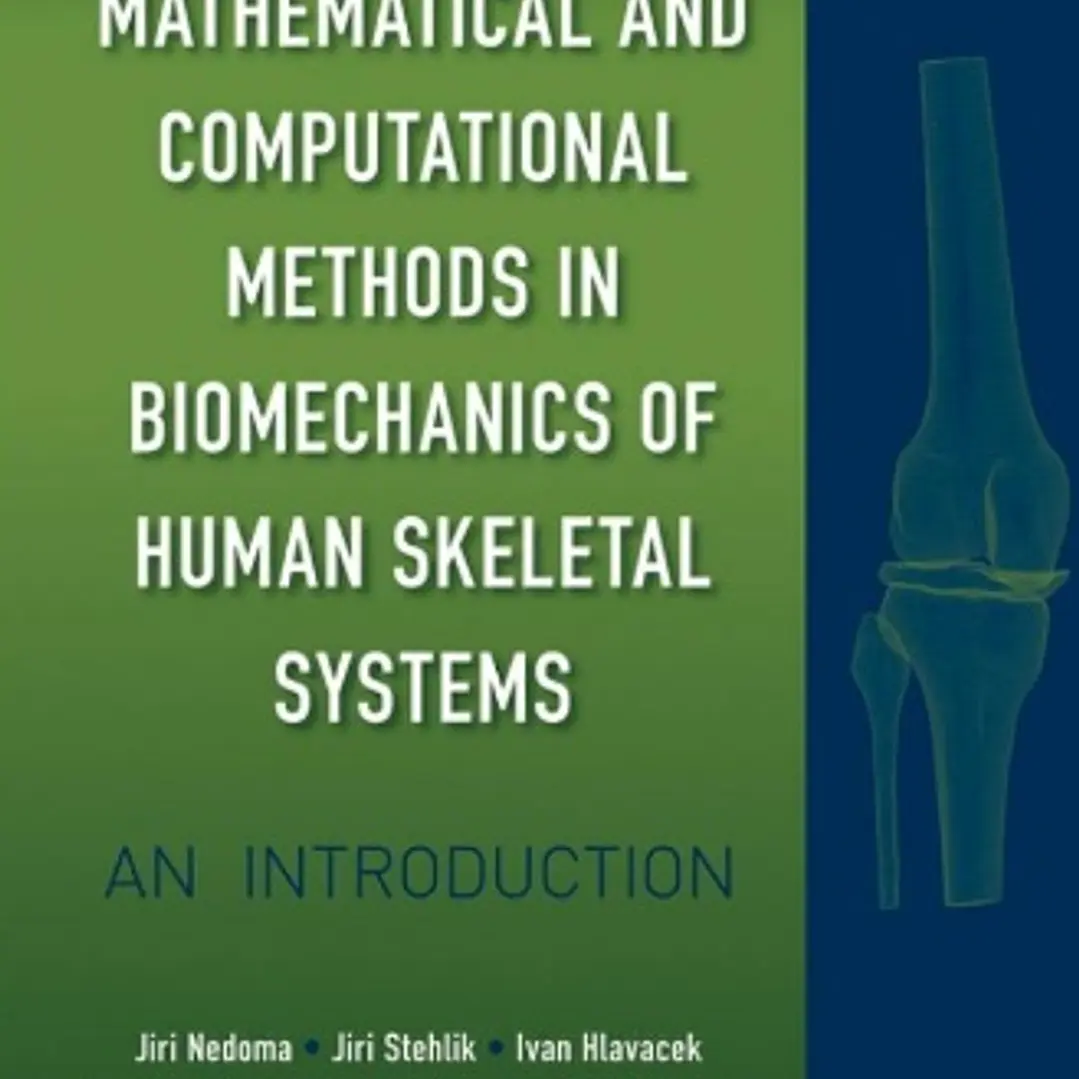 Mathematical and Computational Methods in Biomechanics of Human Skeletal Systems