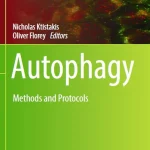 Autophagy Methods and Protocols