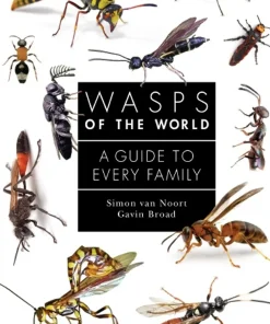 Wasps of the World A Guide to Every Family