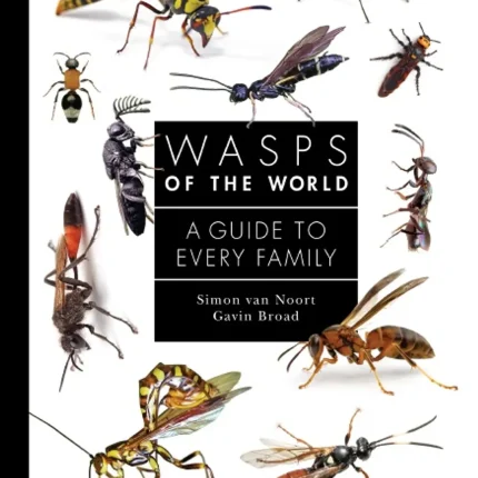 Wasps of the World A Guide to Every Family