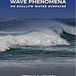3D Modeling of Nonlinear Wave Phenomena on Shallow Water Surfaces