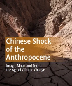 Chinese Shock of the Anthropocene