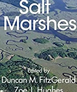 Salt Marshes Function Dynamics and Stresses