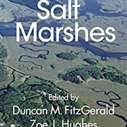 Salt Marshes Function Dynamics and Stresses