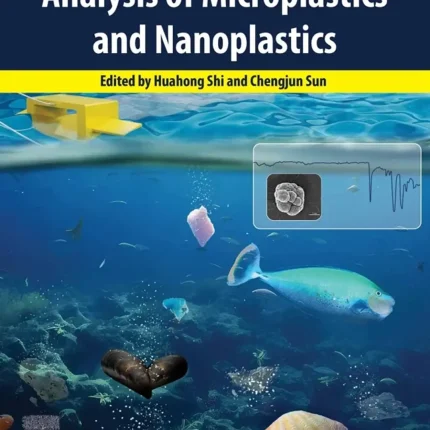Analysis of Microplastics and Nanoplastics