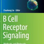 B Cell Receptor Signaling Methods and Protocols