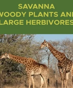 Savanna Woody Plants and Large Herbivores