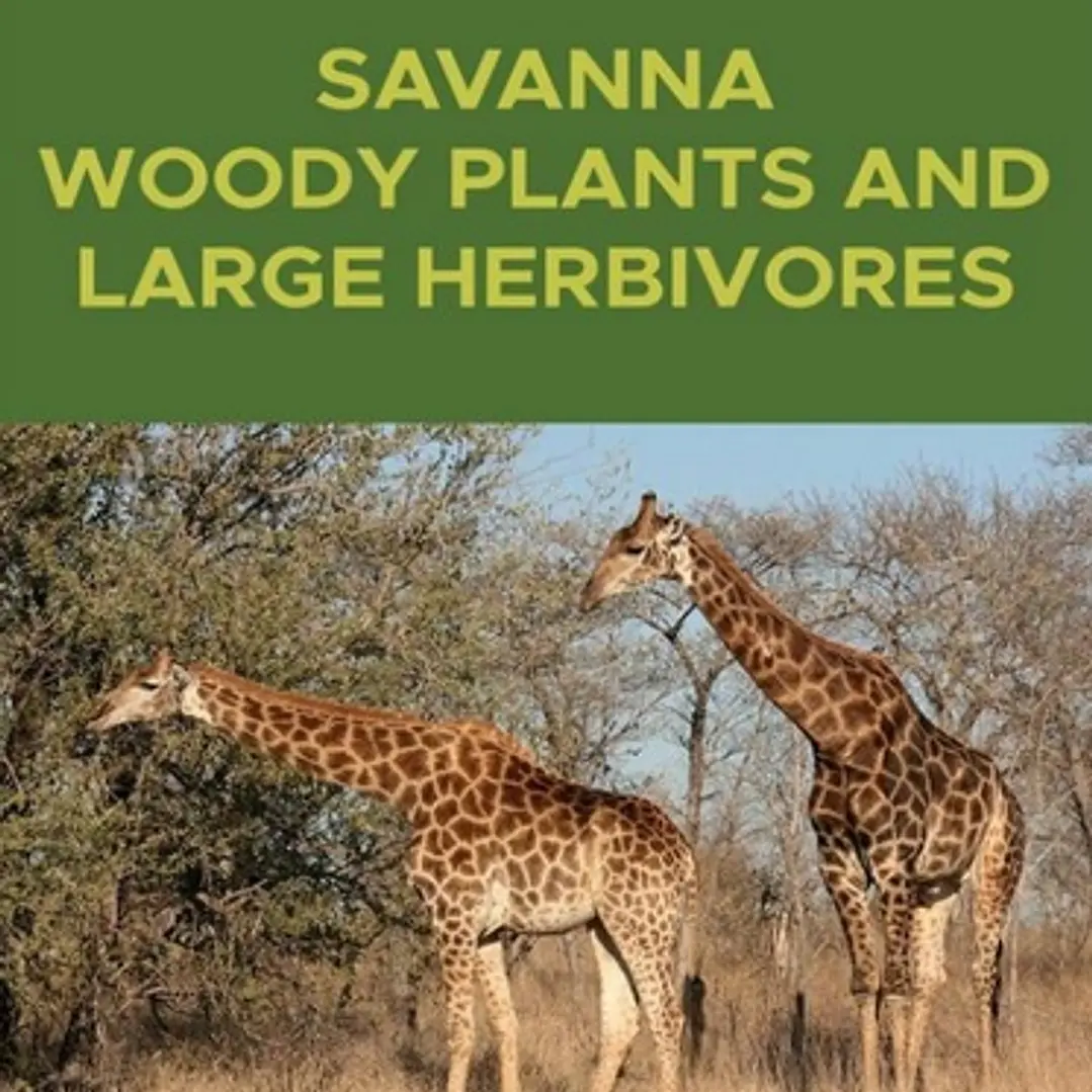 Savanna Woody Plants and Large Herbivores