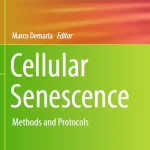 Cellular Senescence Methods and Protocols