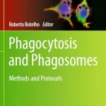 Phagocytosis and Phagosomes Methods and Protocols