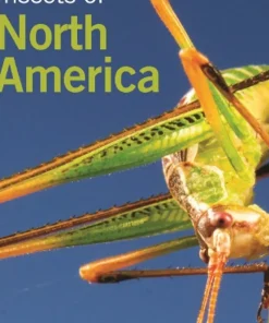 Insects of North America
