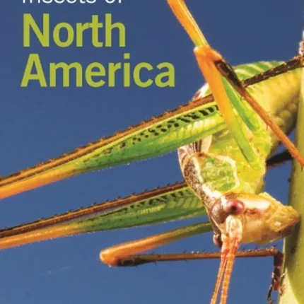 Insects of North America