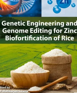 Genetic Engineering and Genome Editing for Zinc Biofortification of Rice