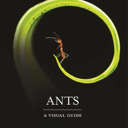 Ants A Visual Guide