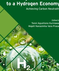 Accelerating the Transition to a Hydrogen Economy Achieving Carbon Neutrality