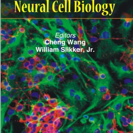 Neural Cell Biology