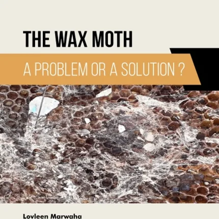The Wax Moth A Problem or a Solution?
