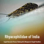 Rhyacophilidae of India