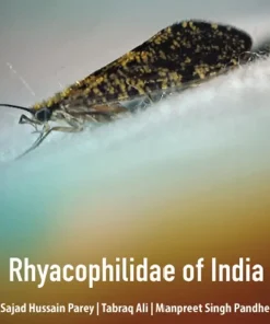 Rhyacophilidae of India