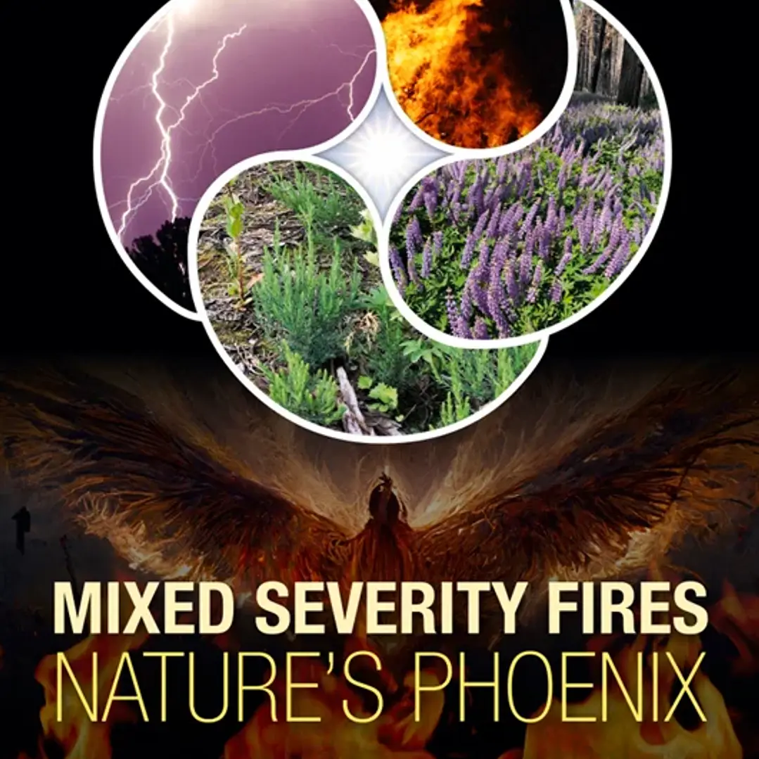 Mixed Severity Fires Nature's Phoenix
