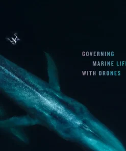 Oceaning Governing Marine Life with Drones
