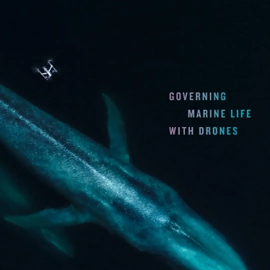 Oceaning Governing Marine Life with Drones