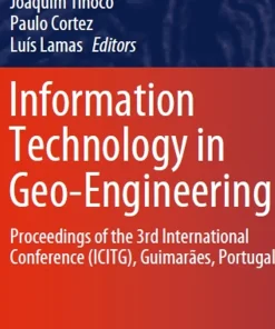Information Technology in Geo-Engineering