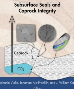 Geological Carbon Storage Subsurface Seals and Caprock Integrity