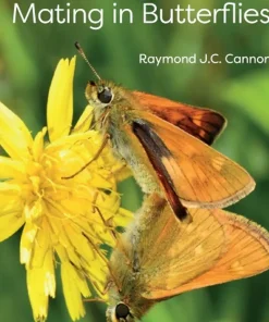 Courtship and Mating in Butterflies
