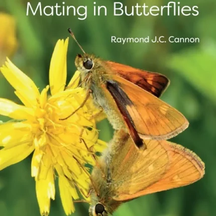 Courtship and Mating in Butterflies