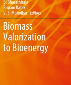 Biomass Valorization to Bioenergy