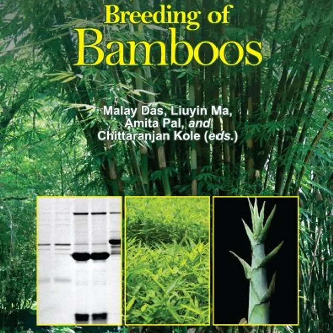 Genetics Genomics and Breeding of Bamboos