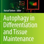Autophagy in Differentiation and Tissue Maintenance Methods and Protocols